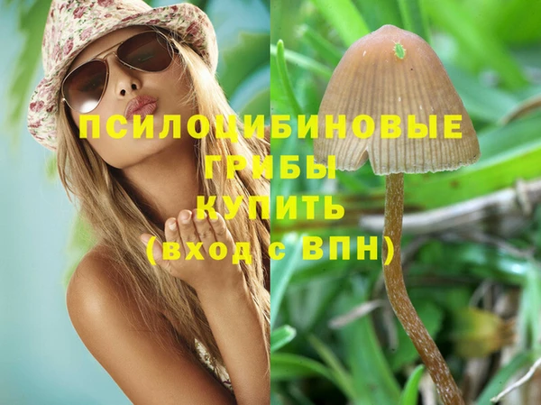 гидра Балабаново
