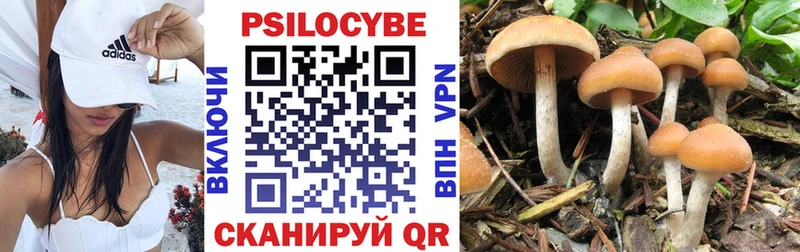 Галлюциногенные грибы ЛСД  цены наркотик  Сухой Лог 